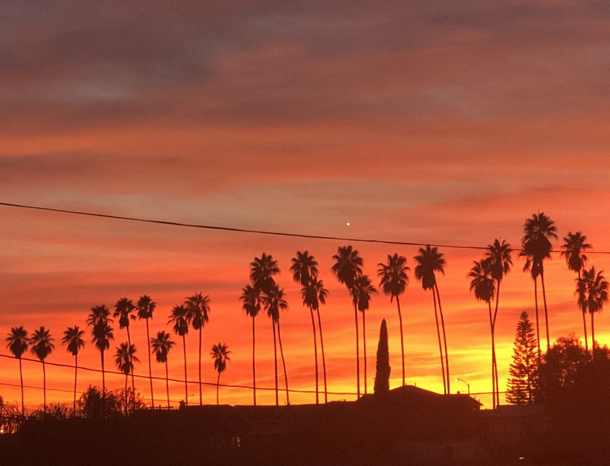 Echo Park Sunset over Laveta Terrace Palms
